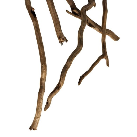 Natural Driftwood Pieces For Crafting & Home Decor 5 pieces - Picture 7 of 11